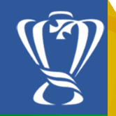 Copa do Brasil