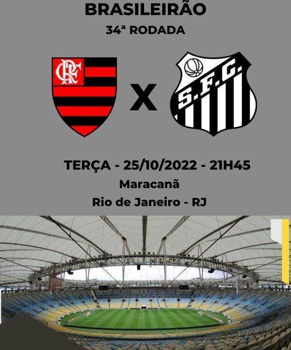 Onde assistir Flamengo x Santos AO VIVO pelo Brasileirão