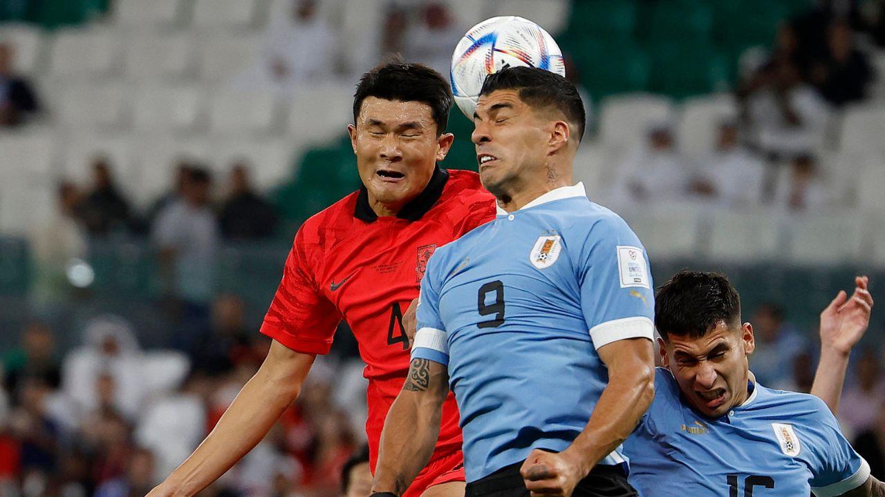 Uruguai X Coreia do Sul: veja as melhores fotos do jogo de