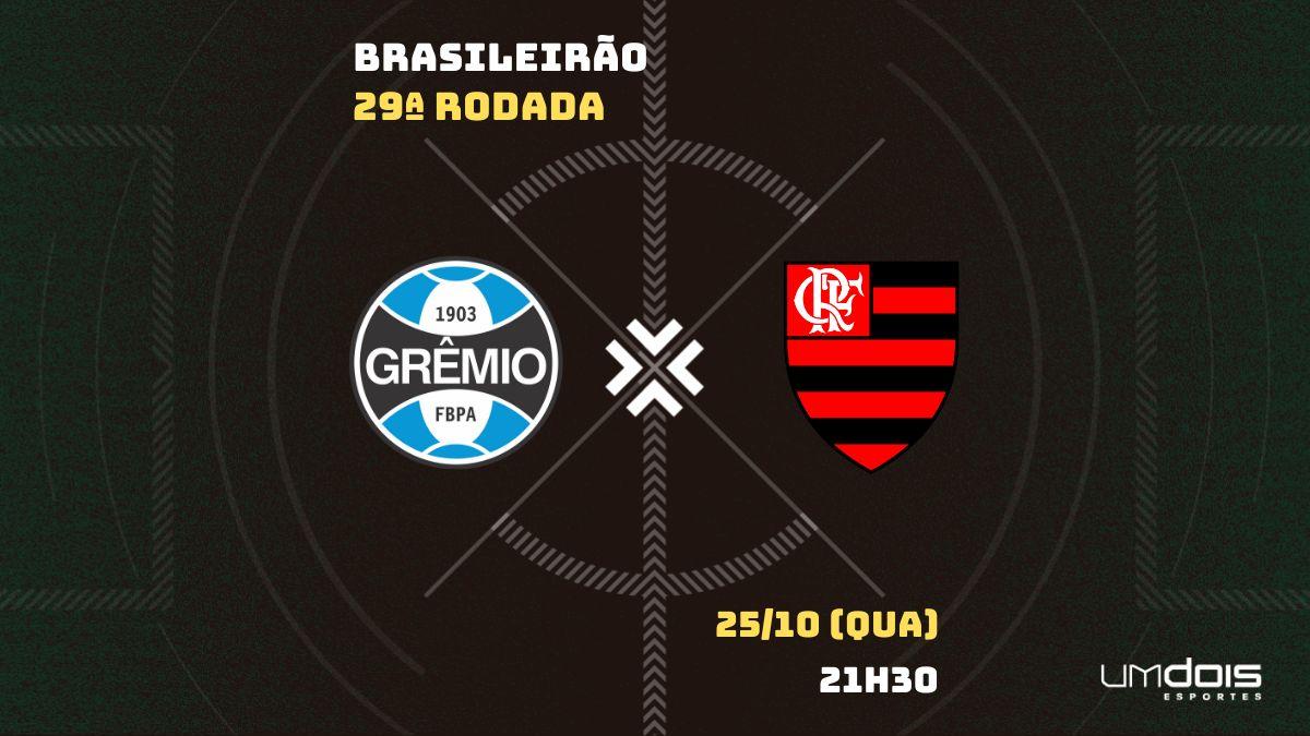 FLAMENGO X GRÊMIO TRANSMISSÃO AO VIVO DIRETO DO MARACANÃ - CAMPEONATO  BRASILEIRO 2023 10ª RODADA 