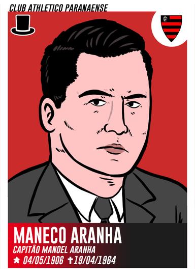 Manoel Aranha, o profissional 