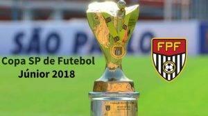 Copa São Paulo de Futebol Júnior 2018 terá 128 clubes.