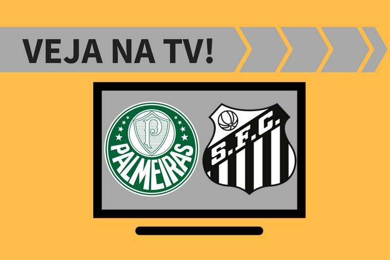Palmeiras x Santos AO VIVO: saiba como assistir à semifinal na TV