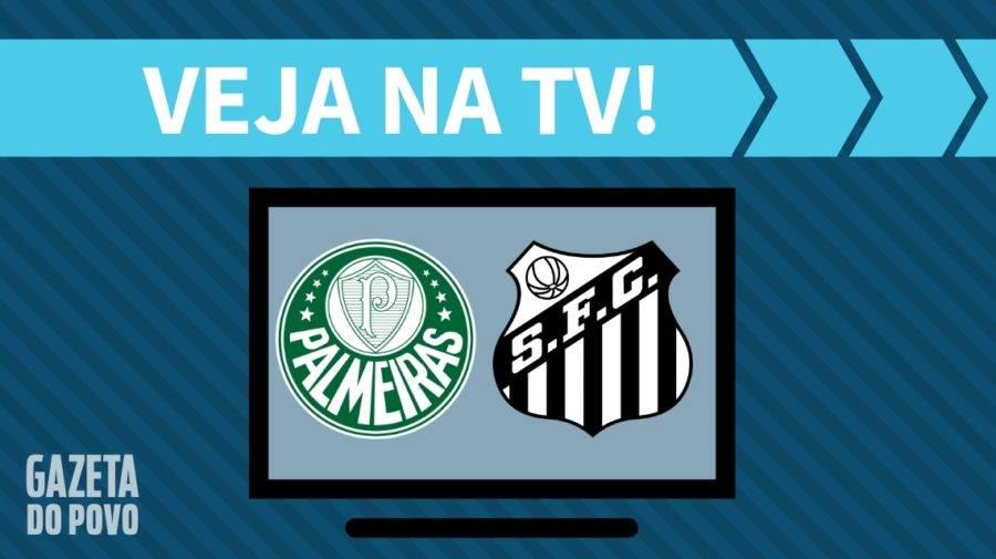 Palmeiras x Santos AO VIVO: saiba como assistir ao jogo na TV
