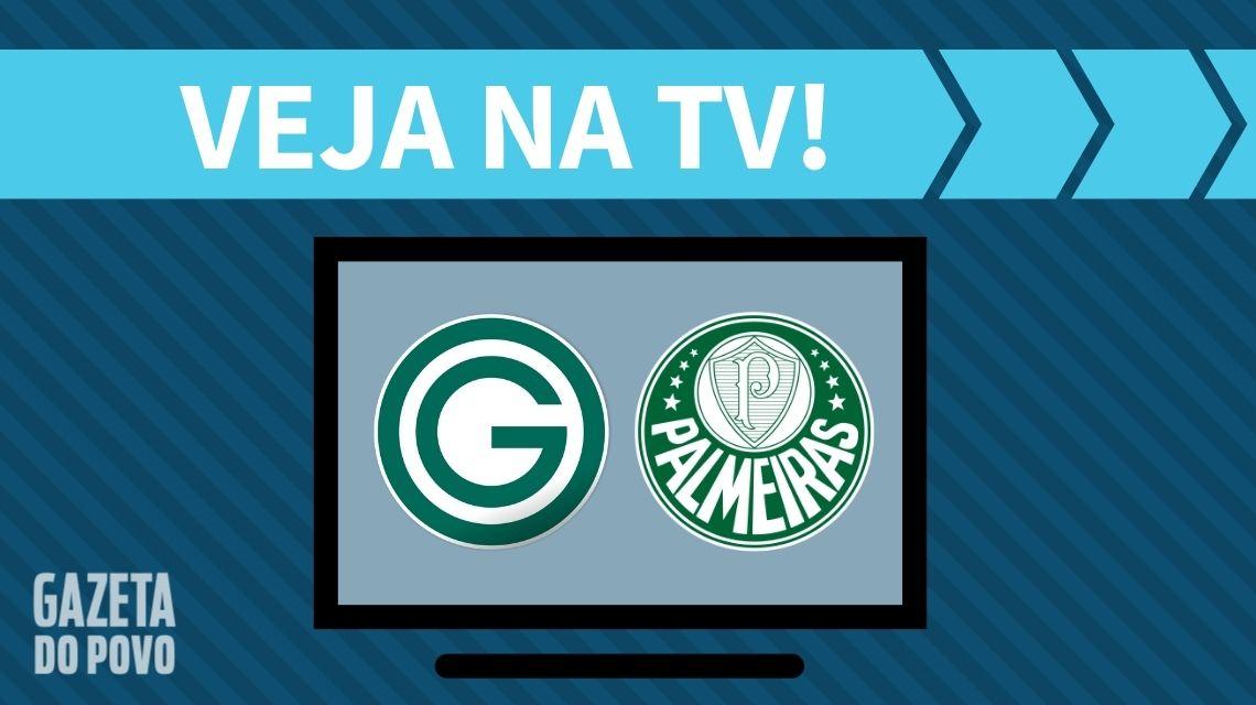 Goiás x Palmeiras AO VIVO: saiba como assistir ao jogo na TV