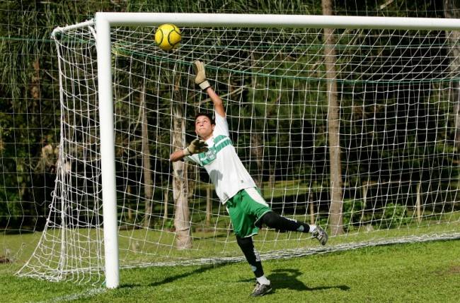 Fenômeno alviverde