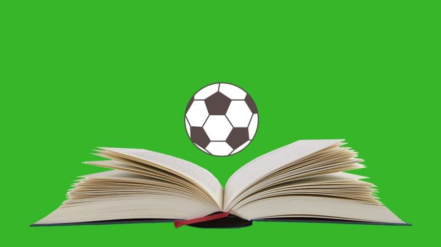 Futebol e Literatura: colisão de frente com as ambiguidades do Brasil