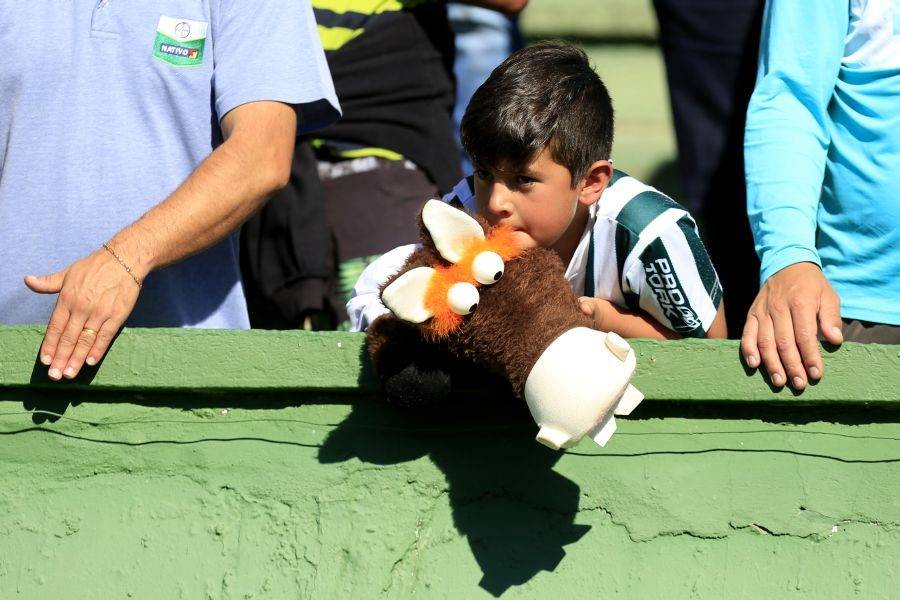 3 jogos imperdíveis do Brasileirão neste domingo