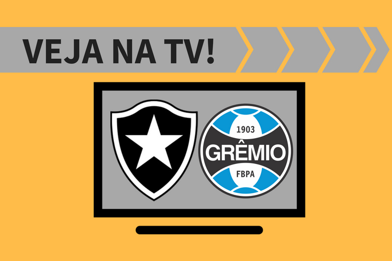 Botafogo x Grêmio AO VIVO: saiba como assistir ao jogo na TV