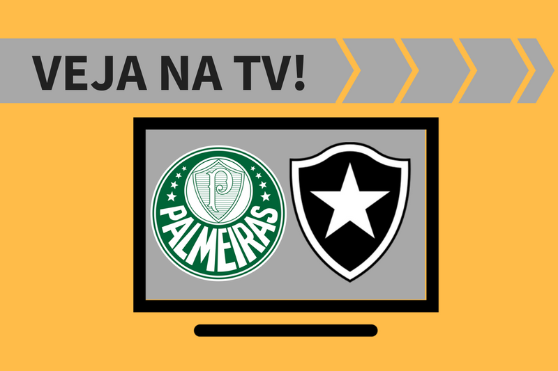 Botafogo x Palmeiras ao vivo: saiba como assistir ao jogo na TV
