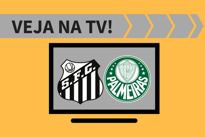 Santos x Palmeiras AO VIVO: saiba como assistir ao jogo na TV