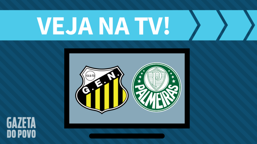 Novorizontino x Palmeiras AO VIVO: saiba como assistir ao jogo na TV