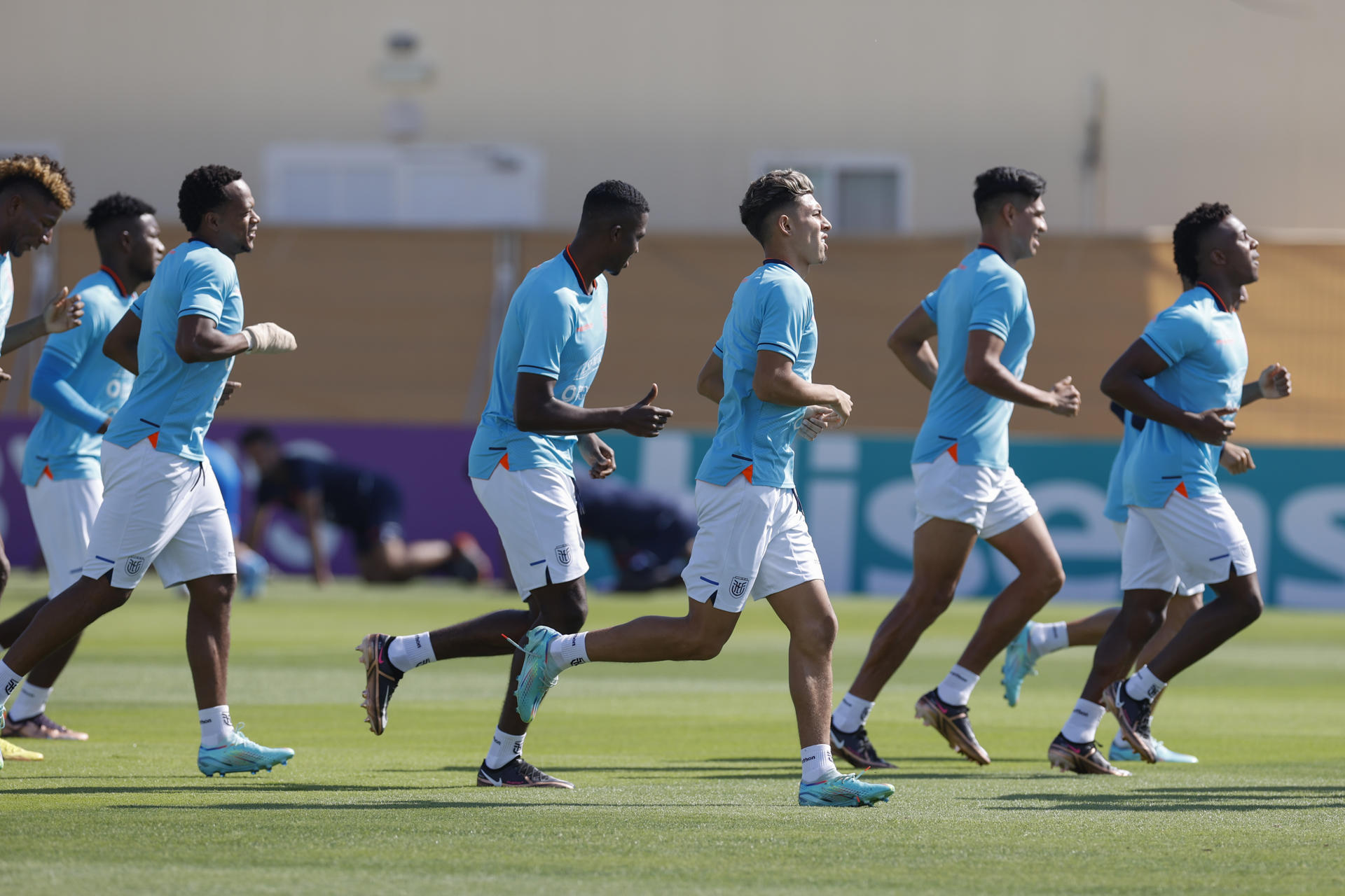 Onde assistir a Holanda x Equador ao vivo e online: horário, escalação,  streaming e mais do jogo da Copa do Mundo