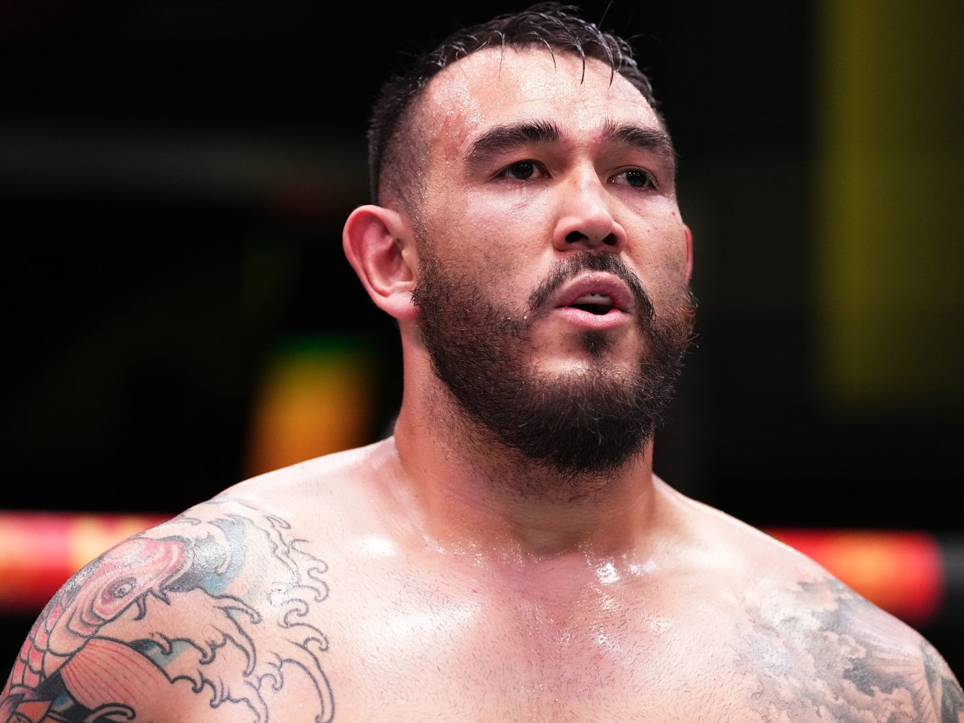 Curitibano Augusto Sakai não faz mais parte do plantel do UFC