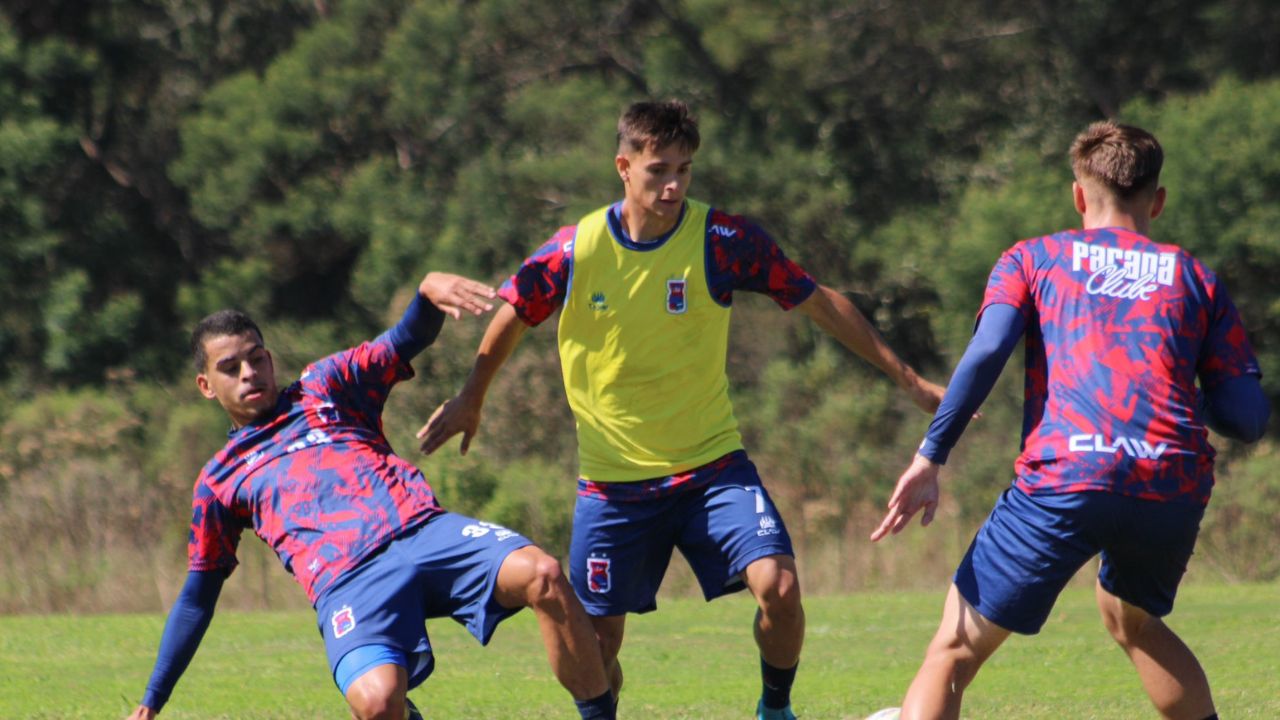  Paraná Clube tem base pronta para a estreia na Divisão de Acesso; veja o provável time 