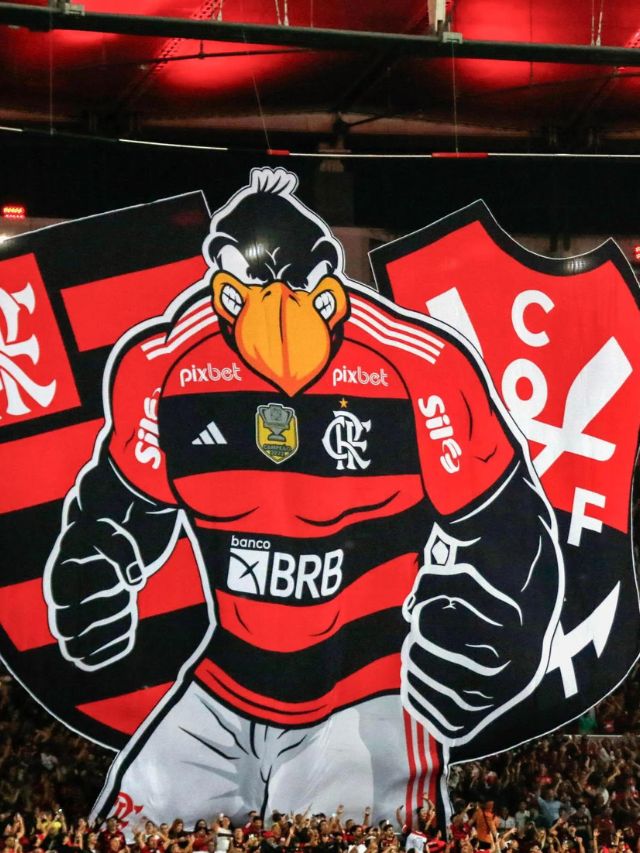 Flamengo, Corinthians e mais: os clubes mais seguidos nas redes sociais