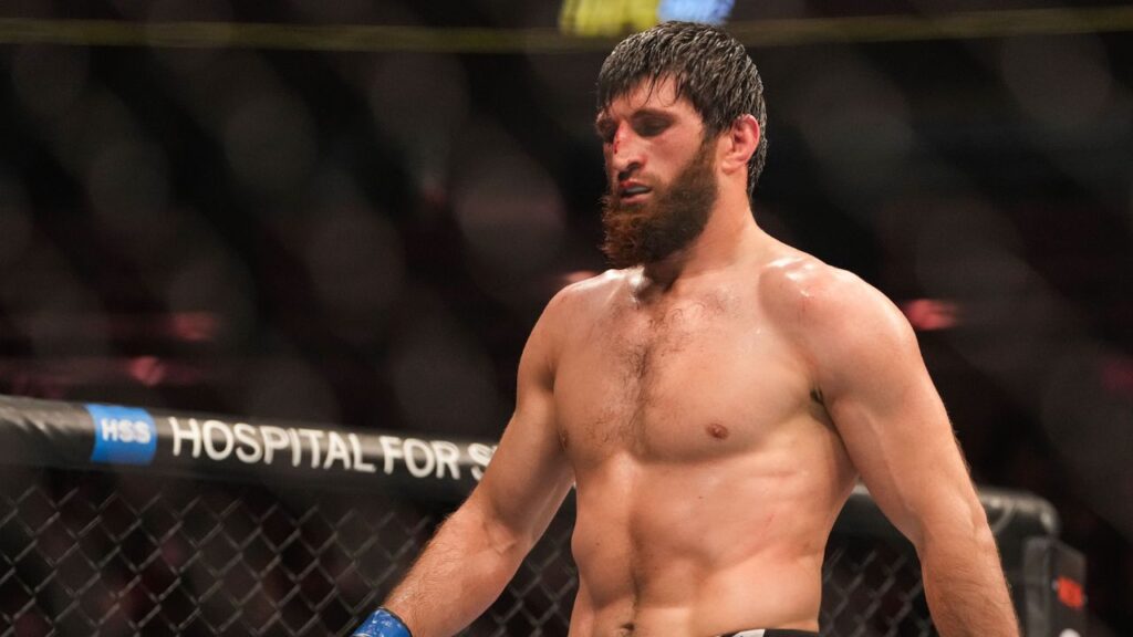 Magomed Ankalaev não gostou da declaração de Alex Poatan. Foto: Icon sport