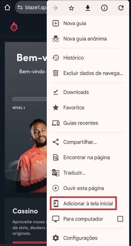Captura de tela da Blaze, com configurações para adicionar o site na tela inicial do celular