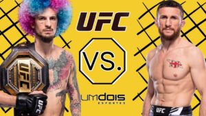 UFC 306: O’Malley x Dvalishvili – Dicas, palpites e prognósticos – 14/09/2024
