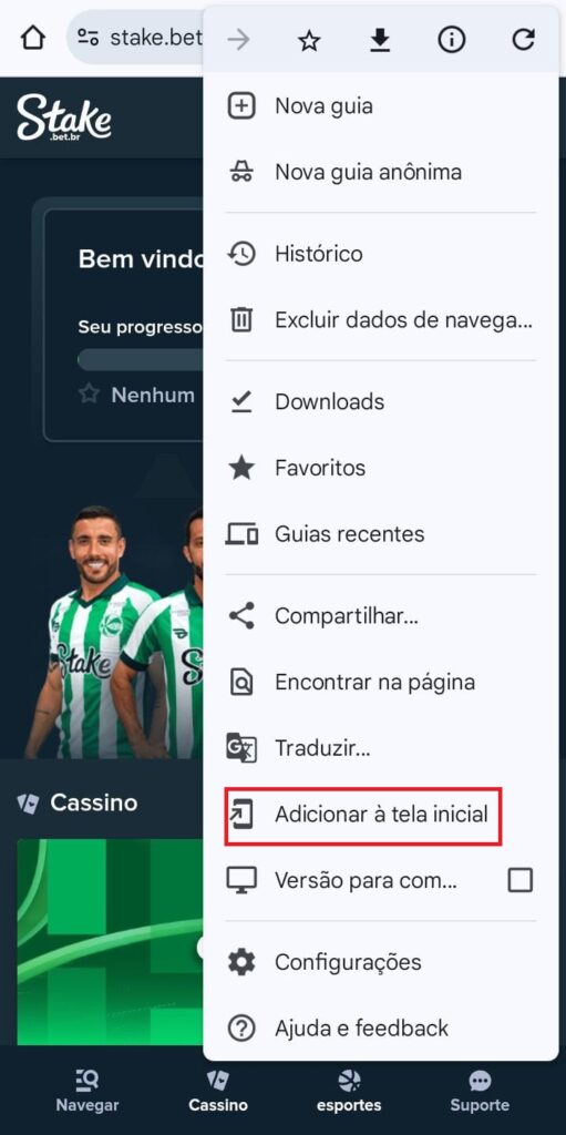 Captura de tela exibindo como adicionar a Stake na tela do celular
