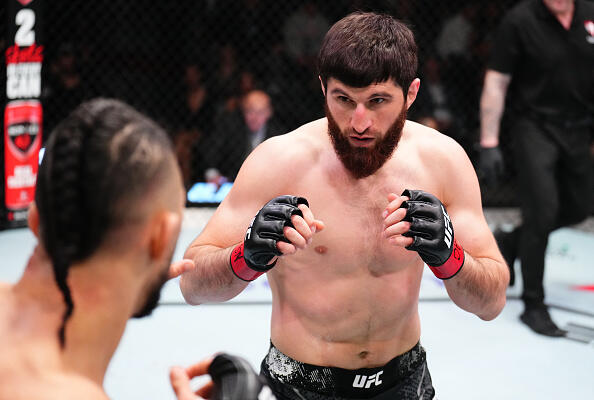 UFC Fight Night: Ankalaev v Walker 2
