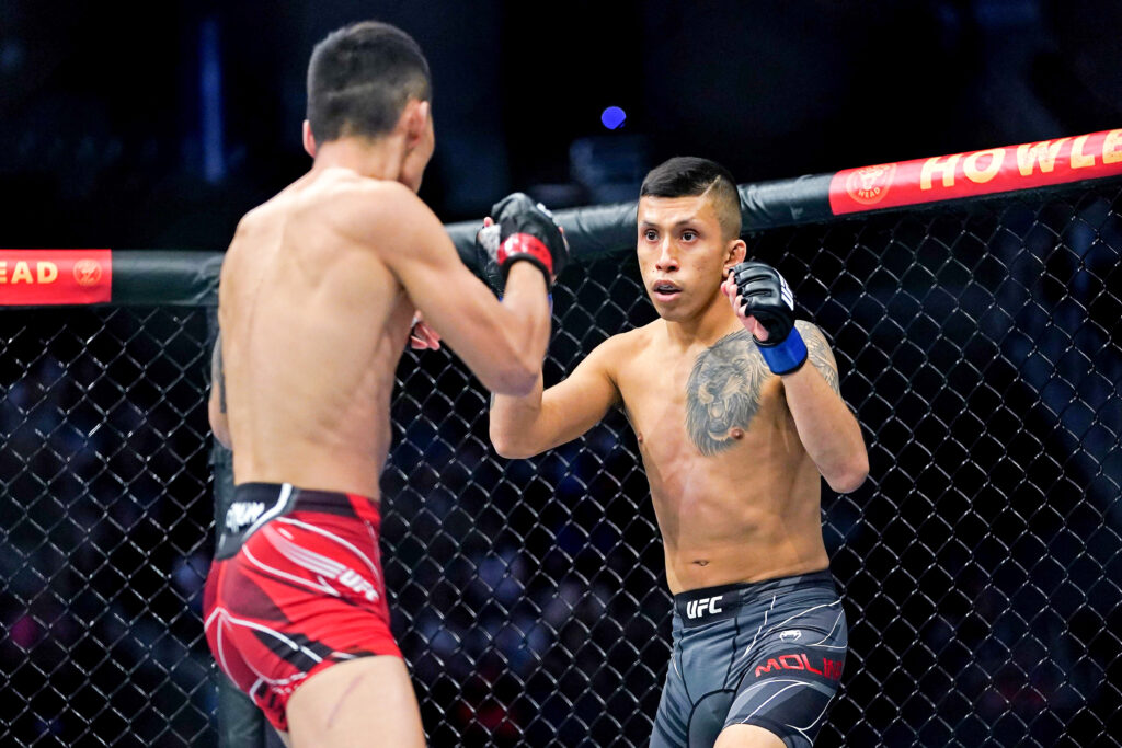 MMA: UFC 261-Aoriqileng vs Molina