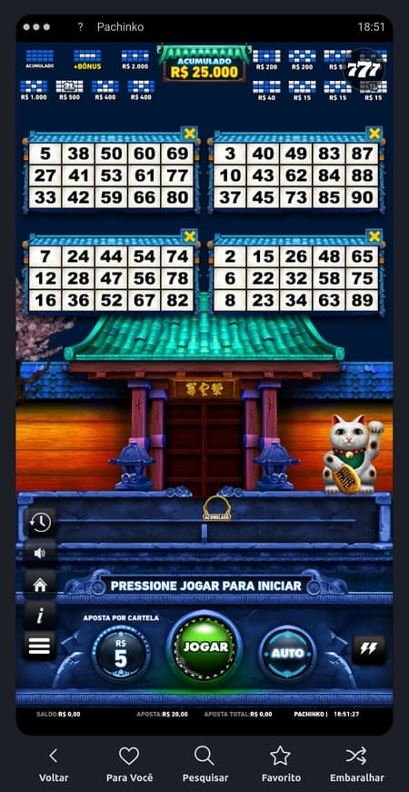 Vídeo bingo