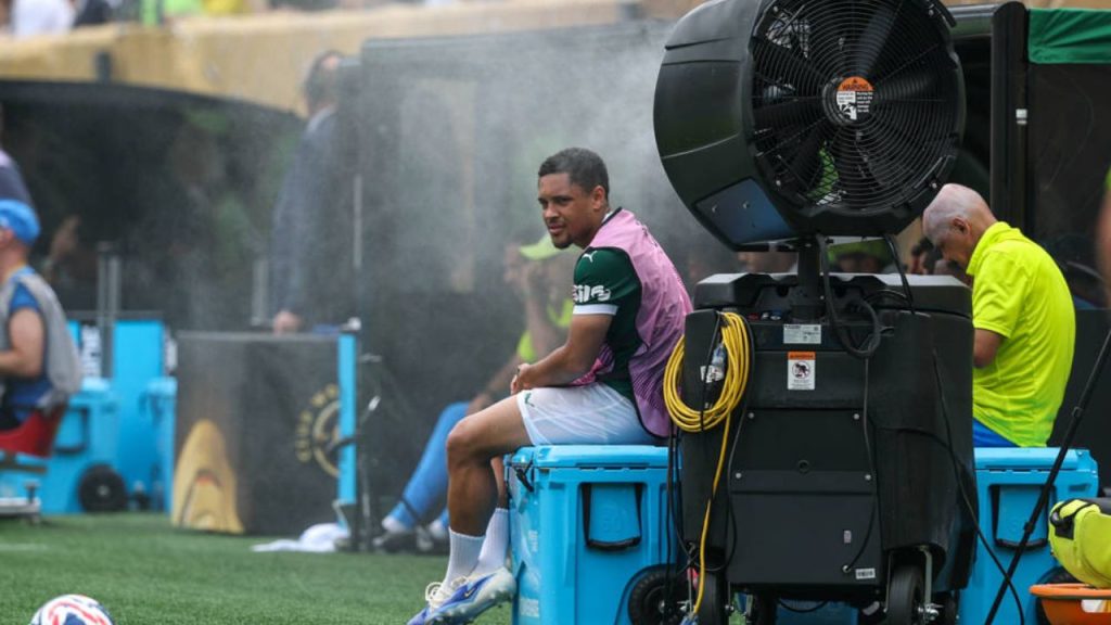 vitor-roque-palmeiras-botafogo