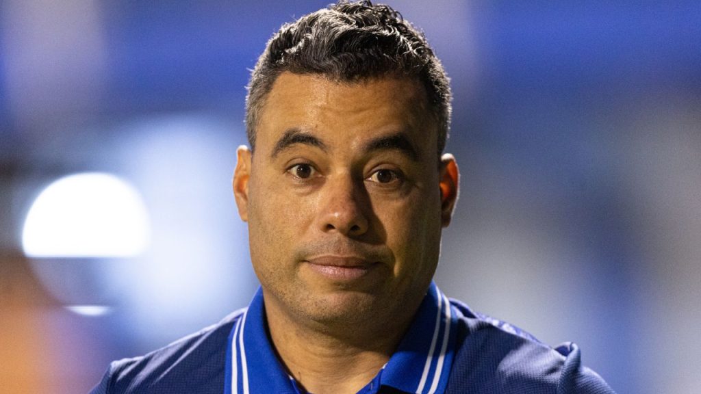 Jair Ventura, técnico do Avaí.