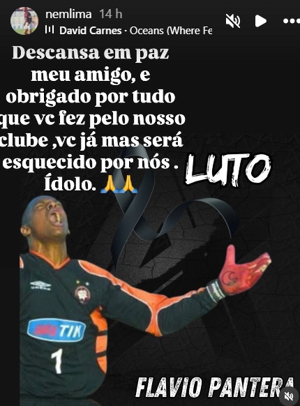 nem-flavio