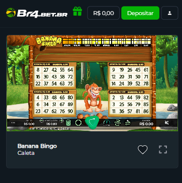 jogo de video bingo