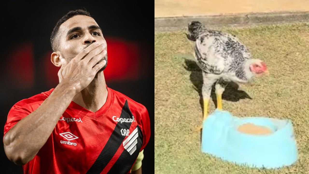 Galinha Alan Kardec: Atacante do Athletico recebe homenagem de ex-companheiro