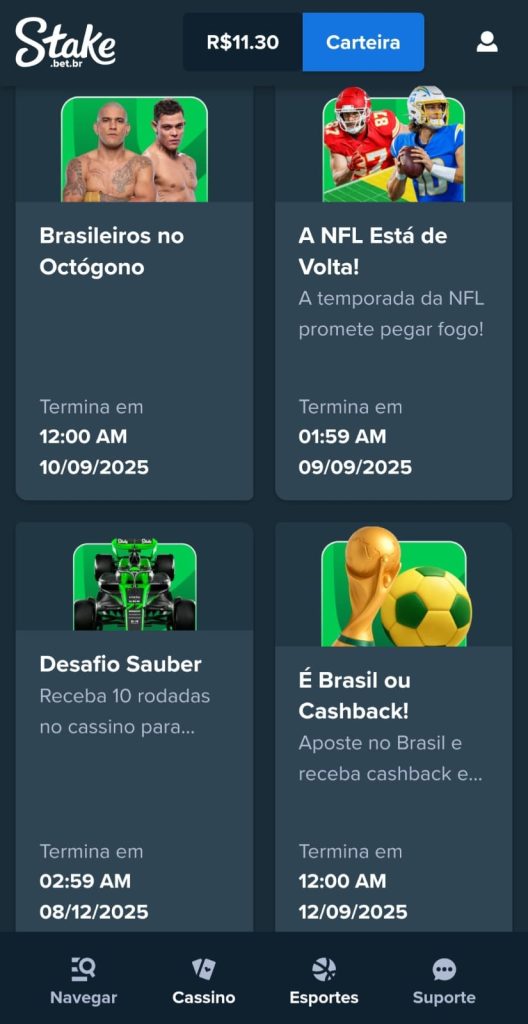 Captura de tela Stake bet