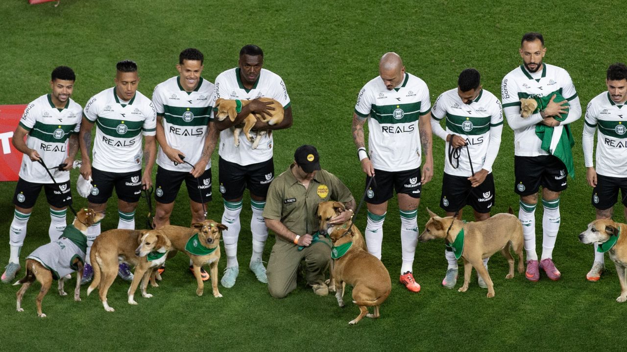 Emocionante! Coritiba surpreende torcida e entra em campo com cachorros caramelos