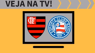 Flamengo x Bahia ao vivo: saiba como assistir ao jogo na TV