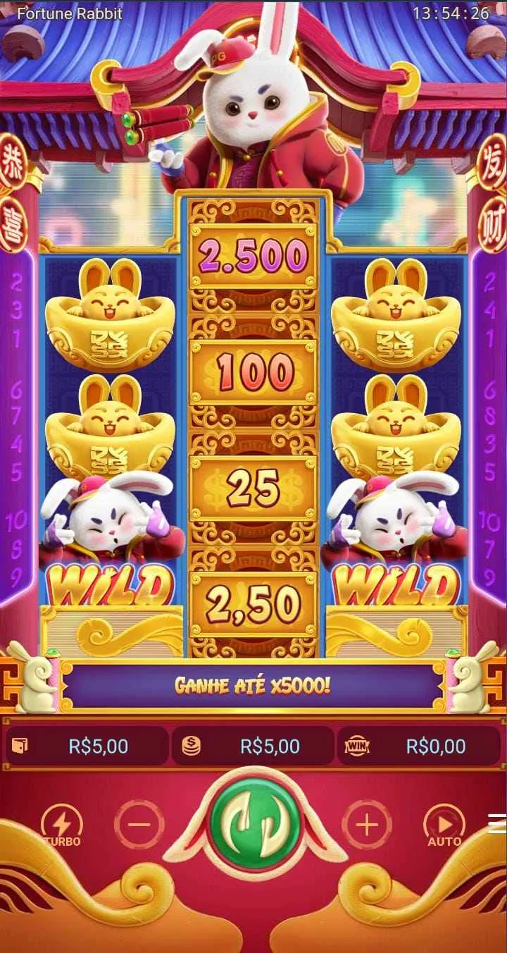 Jogo Fortune Rabbit na Stake, com símbolos de dinheiro na bobina central e diferentes símbolos nas laterais