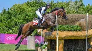 Cavalo de suíço é sacrificado após sofrer grave lesão