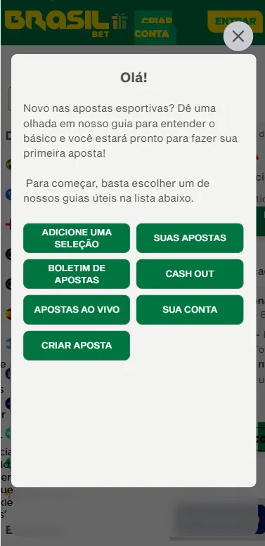 Guia de primeiro acesso na Brasil Bet