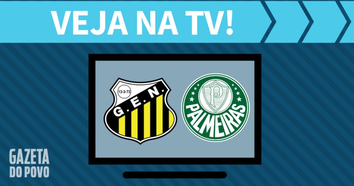 Novorizontino x palmeiras ao vivo: saiba como assistir ao jogo na tv