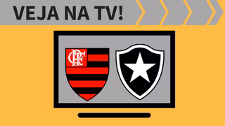 Flamengo x Botafogo AO VIVO: saiba como assistir ao jogo na TV