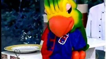 Louro José veste a camisa do Paraná Clube