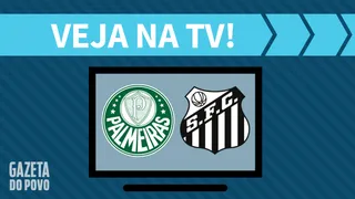 Palmeiras x Santos AO VIVO: saiba como assistir ao jogo na TV