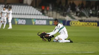 Coritiba faz lição de casa e, com “cachorro da sorte”, respira mais aliviado
