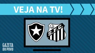 Botafogo x Santos AO VIVO: saiba como assistir ao jogo na TV