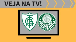 América-MG x Palmeiras ao vivo: saiba como assistir ao jogo na TV