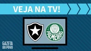 Botafogo x Palmeiras AO VIVO: saiba como assistir na TV