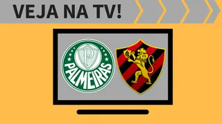 Palmeiras x Sport ao vivo: saiba como assistir ao jogo na TV