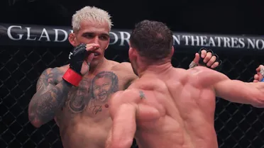 Como foi o desempenho dos seis brasileiros do UFC 309