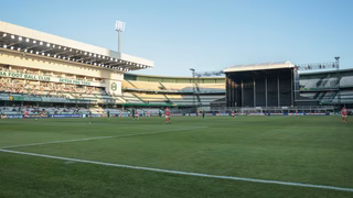 Olivia Rodrigo ignora show no estádio do Coritiba e causa polêmica