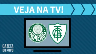 Palmeiras x América-MG AO VIVO: saiba como assistir ao jogo na TV